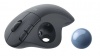 Трекбол Logitech Wireless Trackball ERGO M575 (910-005873)