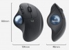 Трекбол Logitech Wireless Trackball ERGO M575 (910-005873)